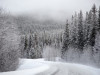 Visā Latvijā 130 ziemas dienesta tehnikas vienības tīra sniegotos autoceļus